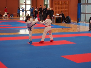 Image description